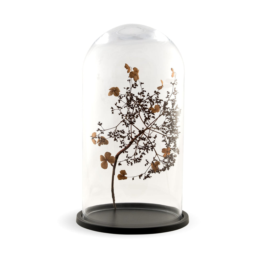 embellish large dome, black