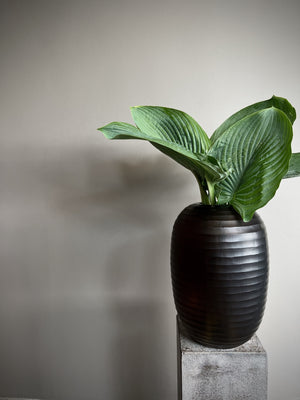 
                  
                    Organic vase
                  
                