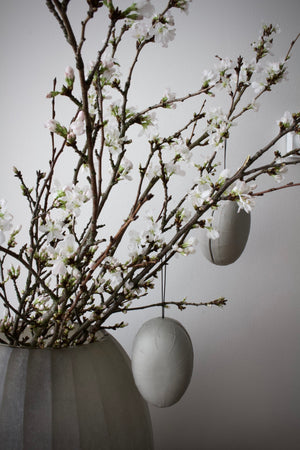
                  
                    fill me eggs - set of 4, nude grey
                  
                
